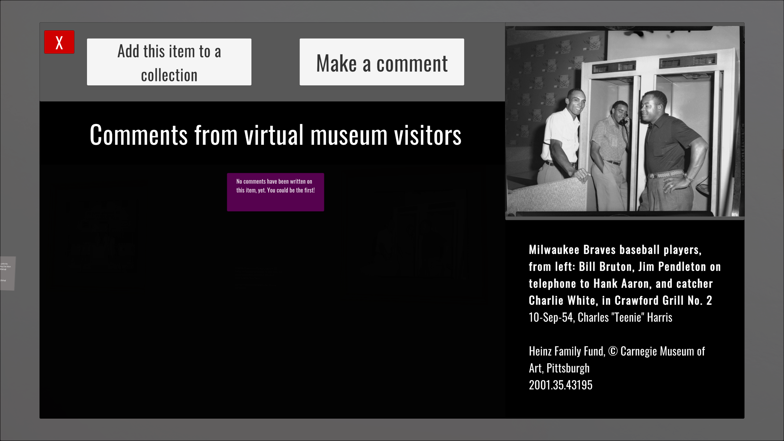 The item detail interface with visitor comments and archival metadata