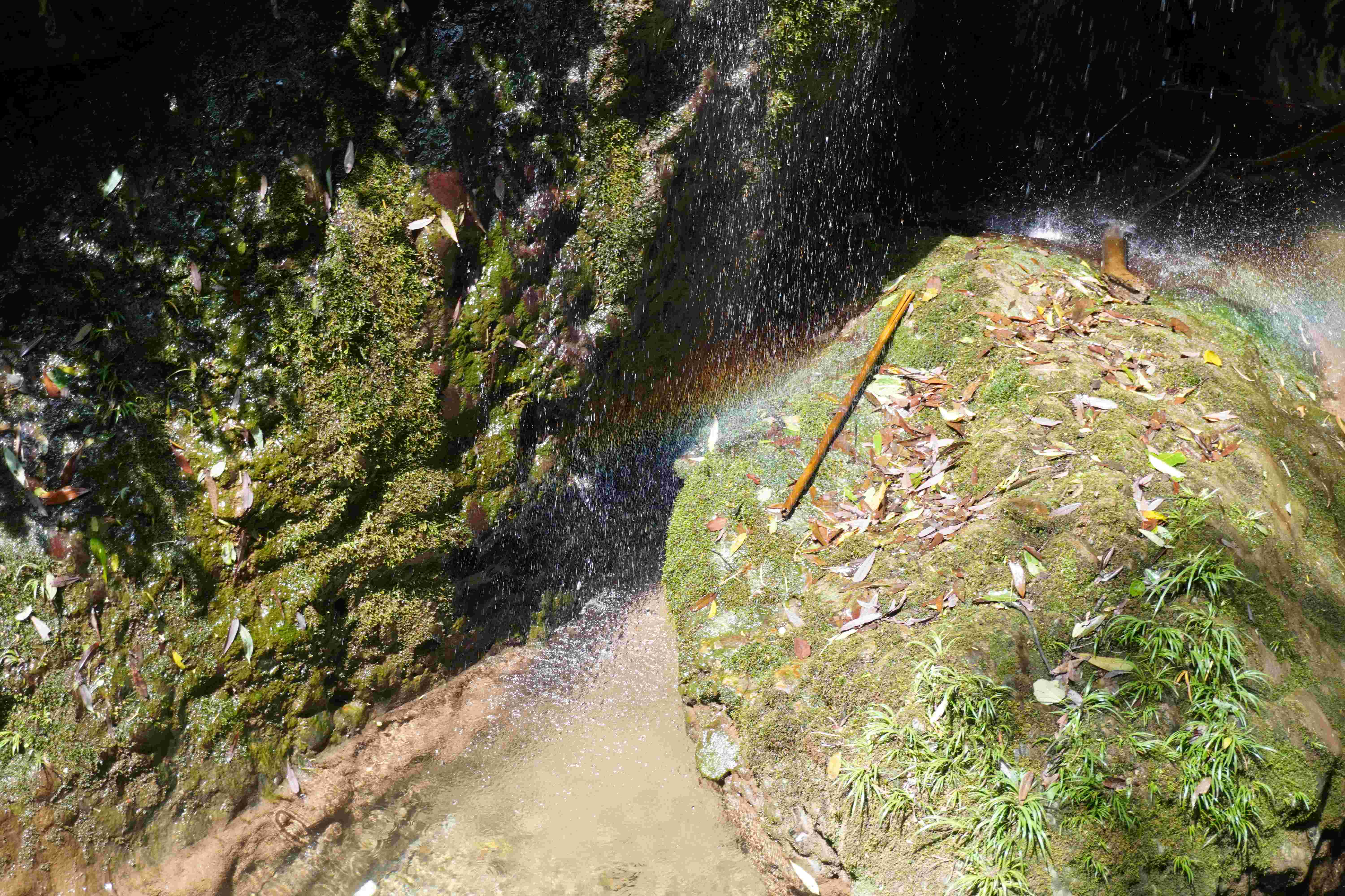 Mount Qingcheng